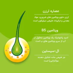 کپسول پریورین بایر ضدریزش هورمونی و ارثی آلمانی (اصل+به قیمت پخش) 55 priorin kapseln4